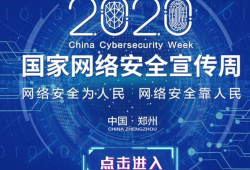 网络安全视频,视频深度解析与防护策略